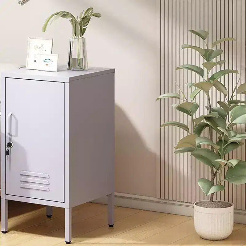 Tavolino Finale in Metallo con Chiusura a Chiave, Anta Singola, 2 Ripiani Regolabili, Mobile Contenitore Moderno Minimalista per Camera da Letto e Soggiorno, Rosa